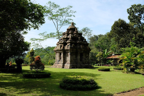 Yogyakarta: Explore Selogriyo Temple & Scenic Rice Terraces Magelang : Explore Selogriyo Temple & Scenic Rice Terraces