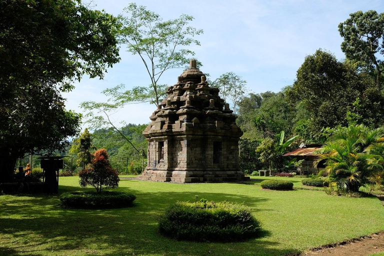 Yogyakarta: Explore Selogriyo Temple & Scenic Rice Terraces Magelang : Explore Selogriyo Temple & Scenic Rice Terraces