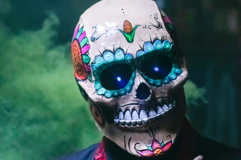 Depuis Mexico : Visite exclusive de la fête du Jour des MortsDepuis Mexico : visite exclusive de la fête du Jour des Morts