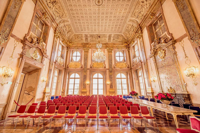 Matinée Mozart: Palacio Mirabell de SalzburgoMozart Matiné Gato 2