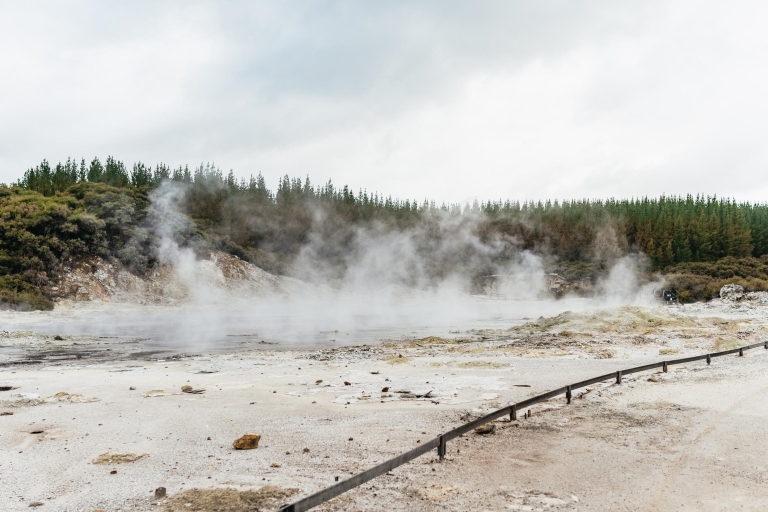 Experiencia Hells Gate Mud Bath y Sulphur SpaExperiencia de baño de barro y spa de azufre