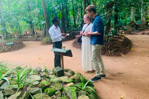 Sigiriya to Kandy : Artisan Trail & Cultural Transfer