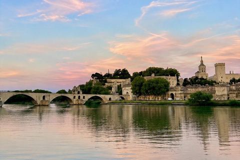 Avignon & Villeneuve-lès-Avignon: Guided Tour in a Tesla