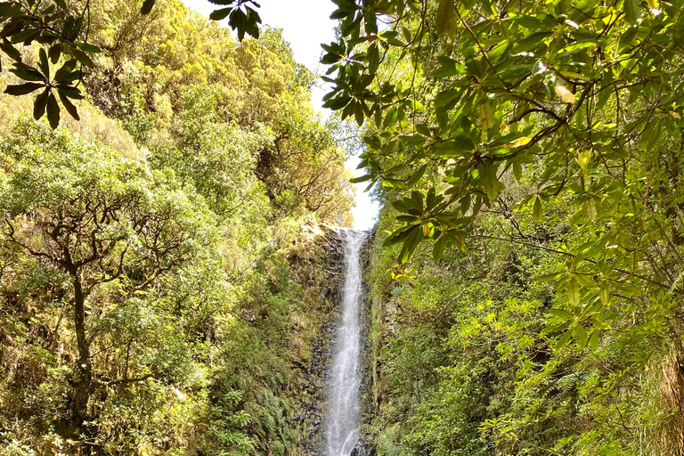 Rabaçal , 25 Fontes and Levada do Risco