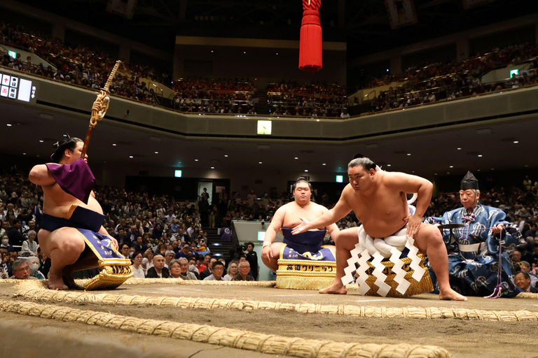 Tickets für das Osaka-Sumo-Turnier mit englischsprachigem Experten-GuideReservierter Sitzplatz D