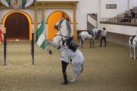 Visite privée de Jerez et Cadix depuis Séville