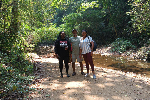 Panamá: Rundtur i byn EmberaPanamá: Rundtur i byn Embera Tusipono