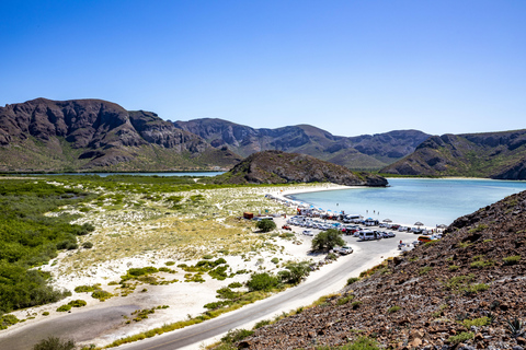 La Paz: Balandra or Tecolote amazing Beach Day Tour