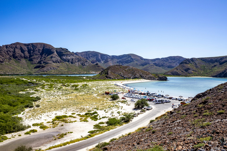 La Paz: Balandra or Tecolote amazing Beach Day Tour