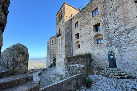 Gibraltar and Mijas Day Trip with Free Time from MálagaGibraltar and Mijas from Train Station of Málaga