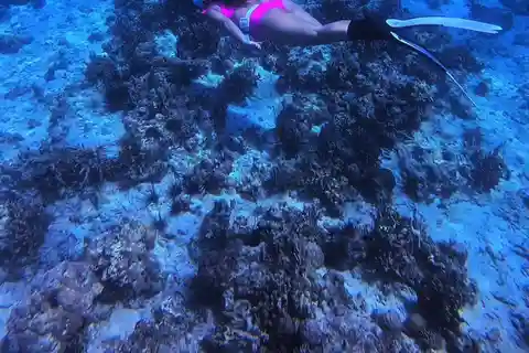 Bantayan Island: Utflykt med fundive fridykning