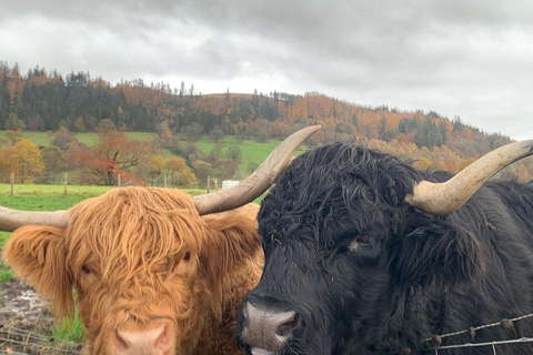 Edimburgo: viaggio privato di un giorno tra le Highlands e Loch NessEdimburgo: tour privato di un giorno tra Highlands e Loch Ness