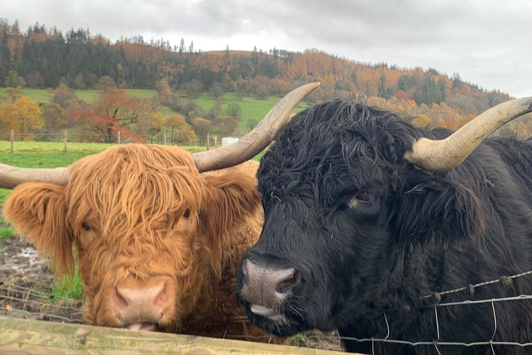 Edimburgo: viaggio privato di un giorno tra le Highlands e Loch NessEdimburgo: tour privato di un giorno tra Highlands e Loch Ness