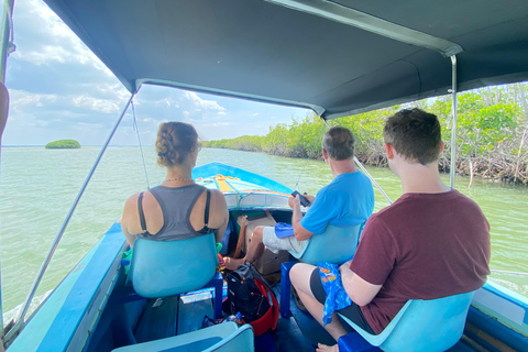 8 Tage Rundreise durch die wunderschöne Natur Sri Lankas