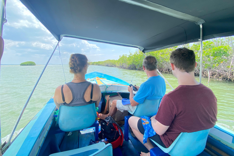 8 Tage Rundreise durch die wunderschöne Natur Sri Lankas