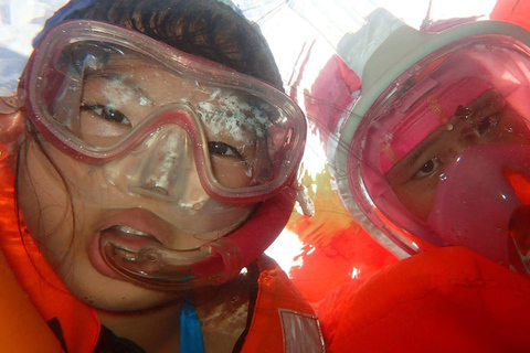 Pigeon Island Snorkeling Tour from Uppuveli Beach