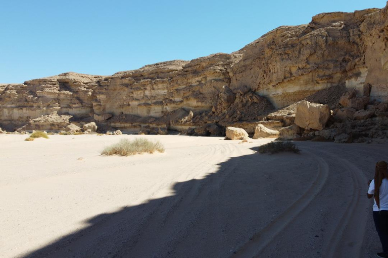 Hurghada: Hiking , dinner & stargazing Advanced hiking tour & camel ride