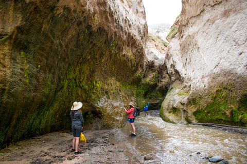 Von Arequipa | Wasserfälle von Capua und heiße Quellen von Yura