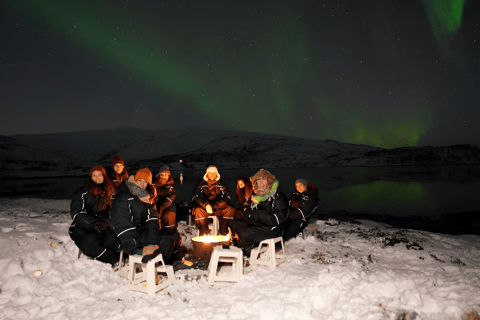 From Tromsø: Northern Lights Tour in Minibus with Photos