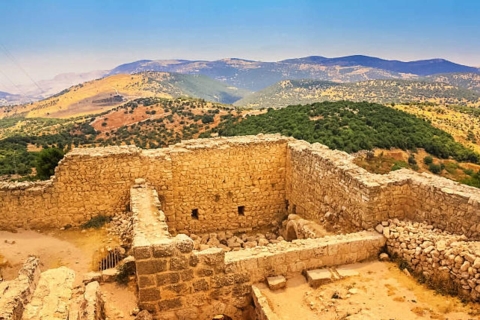 Von Amman: Jerash, Ajloun Castle & Umm Qais Private TourVon Amman: Jerash und Umm Qais Private Tour