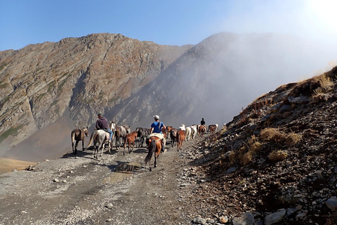 Vashlovani Nature Reserve: Horse Riding Tour