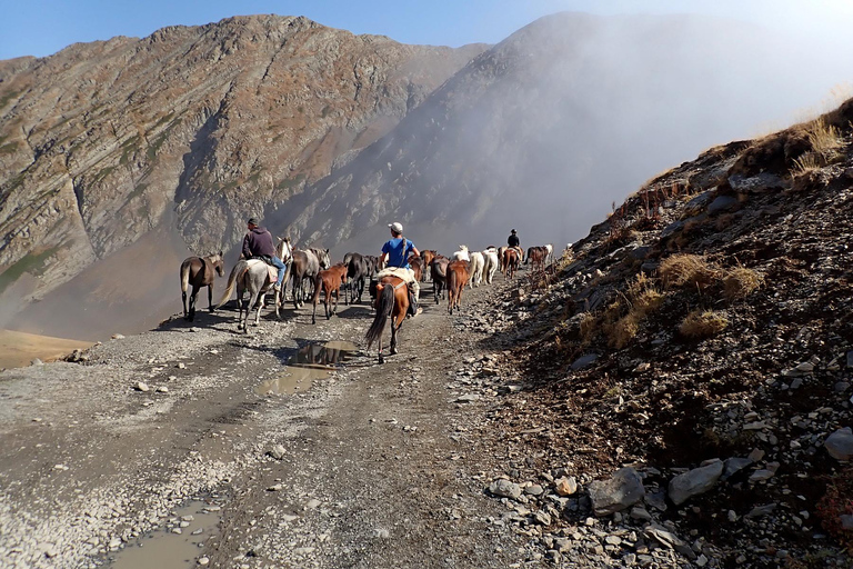 Réserve naturelle de Vashlovani : Randonnée à cheval