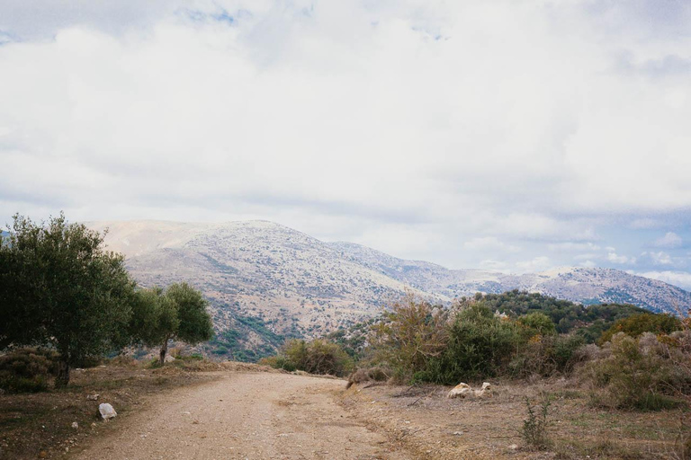 From Hersonissos: Quad Bike Safari in the Mountains of Crete