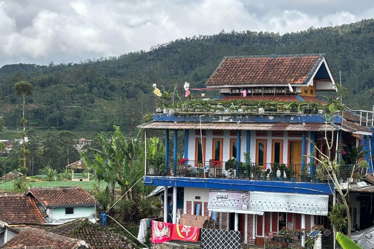 Bandung;White Crater,Hot Springs,Tea n strawberry plantation