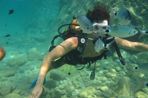Antalya/Kemer : Expérience de plongée sous-marine avec déjeuner et prise en chargePlongée à l'exclusion des transferts
