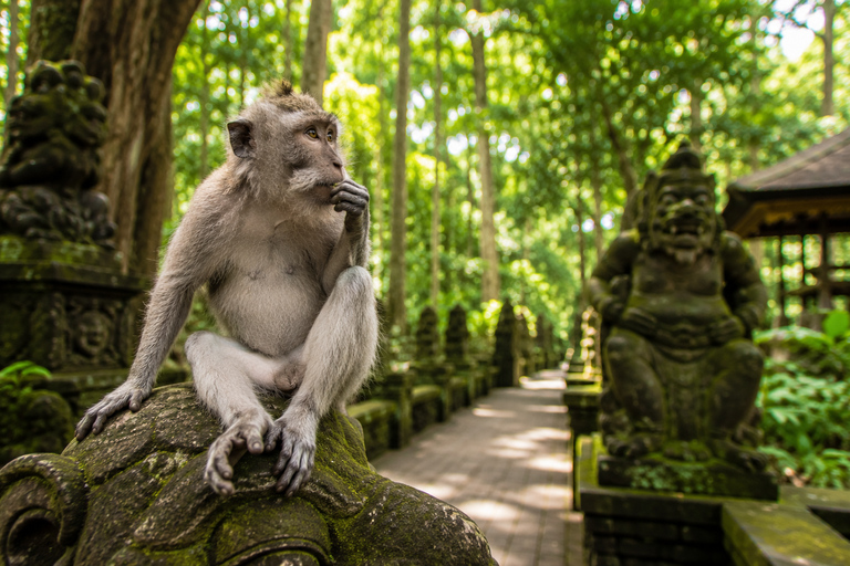 Bali: Monkey Forest, & Temple, With Waterfall, Swing Tour Private Tour Entry Ticket
