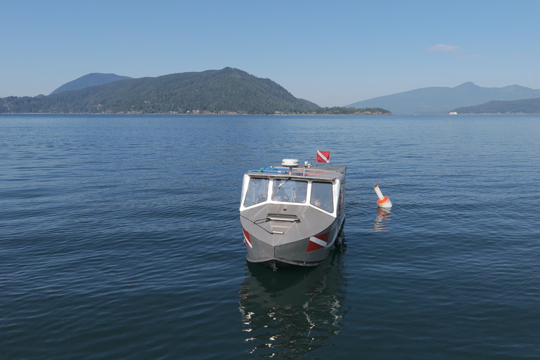 Vancouver: Howe Sound Wildlife and Scenery Boat Tour