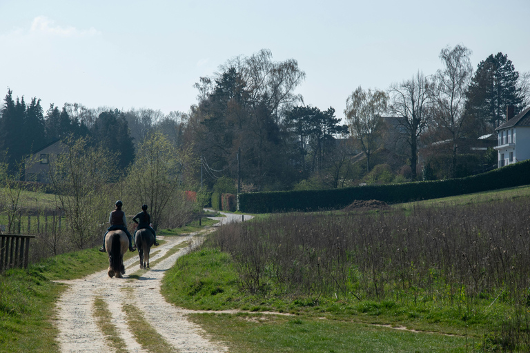 Girona: Horseback Riding with Local Bar Experience