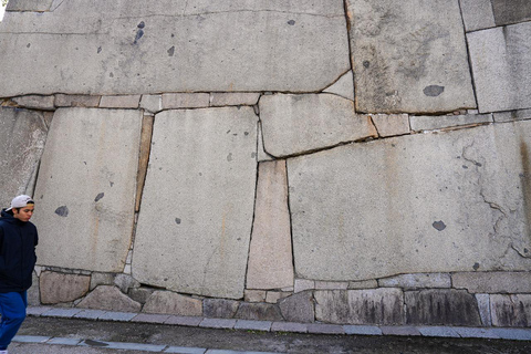 Excursión Privada de un Día a lo Más Destacado de Nara y Osaka