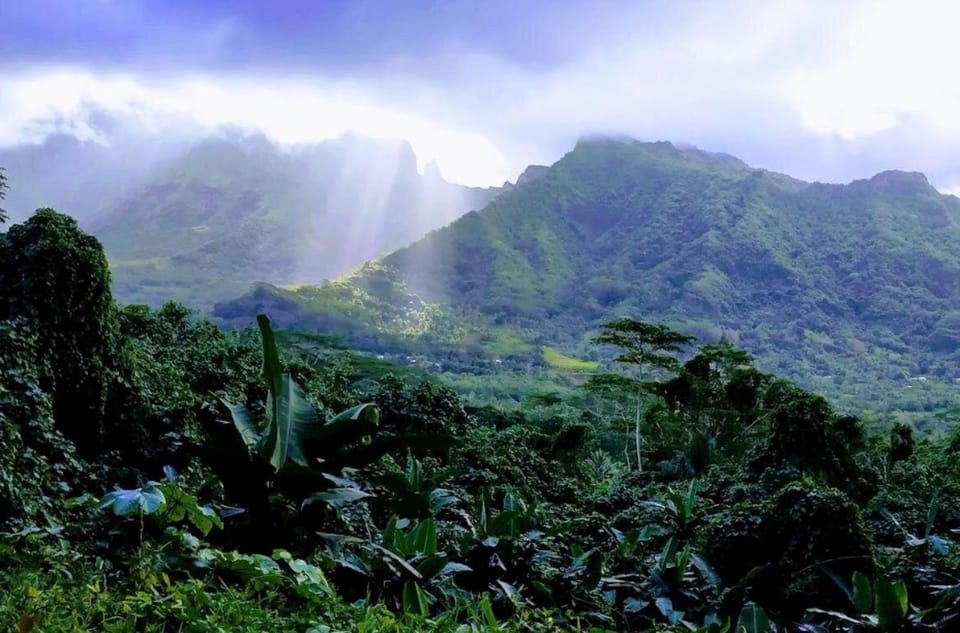 Raiatea : visite de l’île en 4x4 avec Pearl Farm et marae