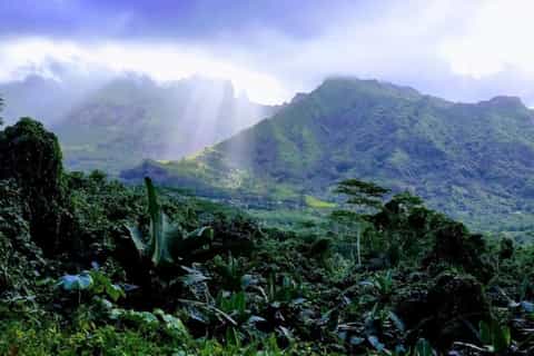 Raiatea : visite de l’île en 4x4 avec Pearl Farm et marae