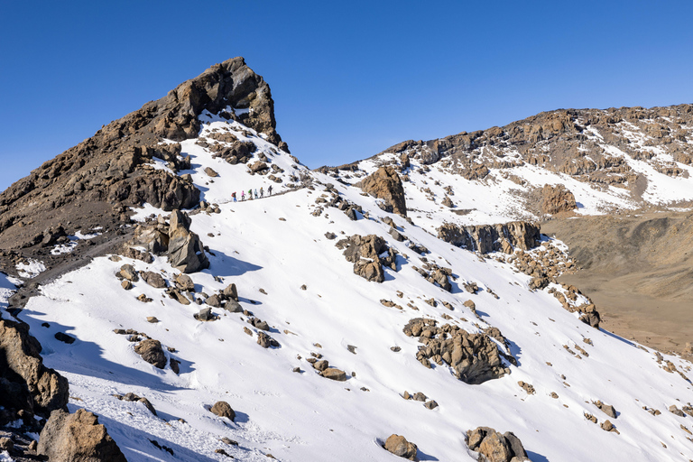 Arusha: Mount Kilimanjaro Day Trekking Experience Marangu Route Day Hike