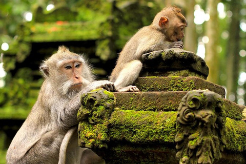 Ubud: Zip-Line, Sacred Temple, and Monkey Forest Tour Private Tour without Entry Ticket