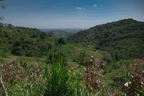 Kartagena: prywatna wycieczka z obserwacją ptaków w tropikalnym lesie suchymKartagena: Prywatna wycieczka z obserwacją ptaków w tropikalnym lesie suchym