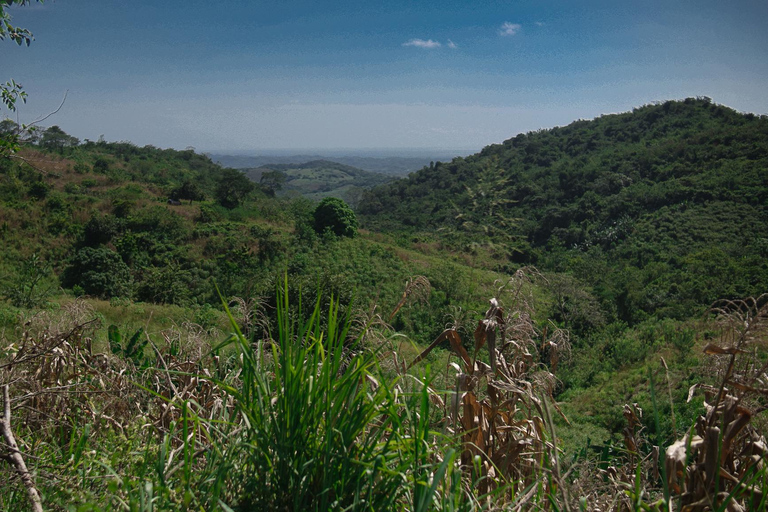 Kartagena: prywatna wycieczka z obserwacją ptaków w tropikalnym lesie suchymKartagena: Prywatna wycieczka z obserwacją ptaków w tropikalnym lesie suchym