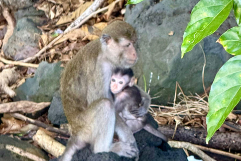 Trou D&#039;Eau Douce: Wycieczka po 5 wyspach Mauritiusa z lunchem/napojami