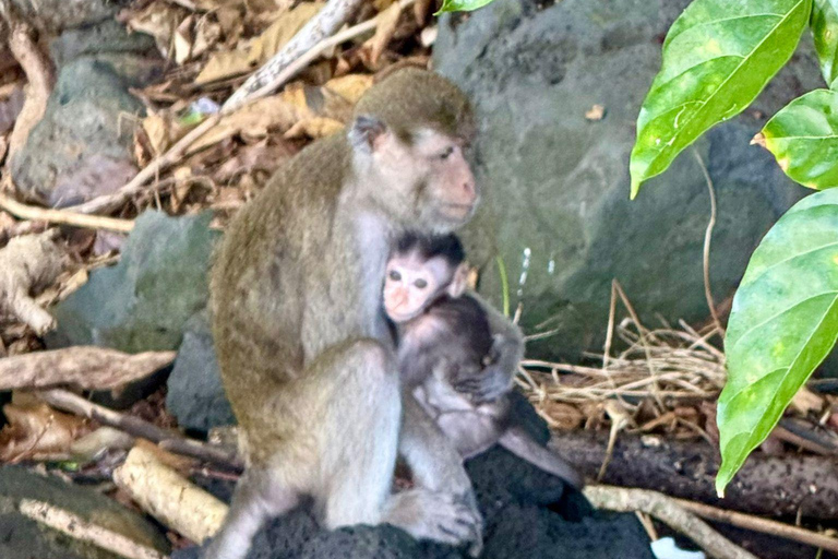 Trou D&#039;Eau Douce: Wycieczka po 5 wyspach Mauritiusa z lunchem/napojami