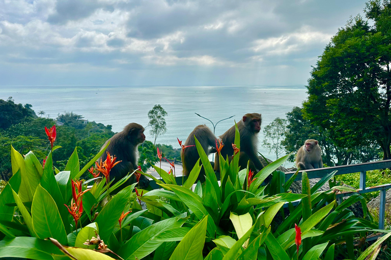 Da Nang/Hoi An: Lady Budha - Marble Mountain with Hell Cave Da Nang/Hoi An: Marble Mountain - Lady Budha half day