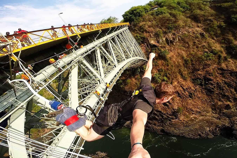 Serviço de busca no aeroporto e bungee jumping na ponte Vic Falls