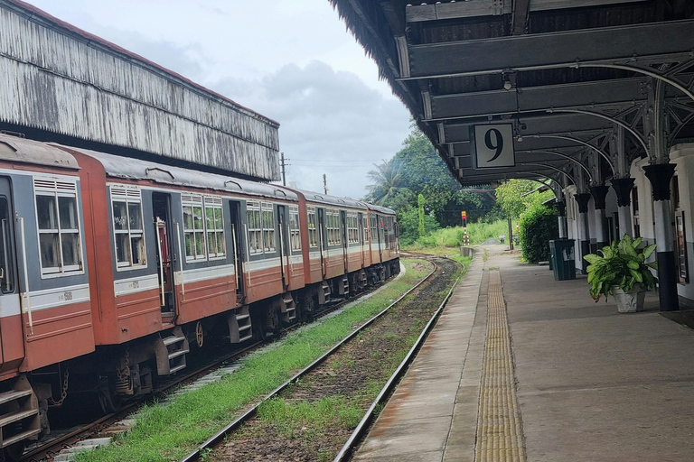 Colombo: Private Transfer to Sigiriya or Kandy with Stops