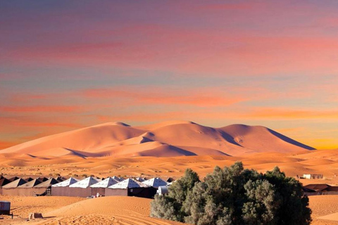 Au départ de Fès : excursion de 2 jours dans le désert de Merzouga avec tente de luxe et dîner