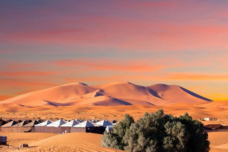 Au départ de Fès : excursion de 2 jours dans le désert de Merzouga avec tente de luxe et dîner
