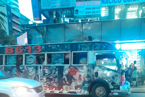 Ville de Nairobi : visite guidée culturelle et historique à pied