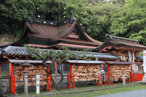 Osaka/Kyoto: Mount Koya &amp; Wakayama Privat dagsutflykt med guideRundresa från Osaka