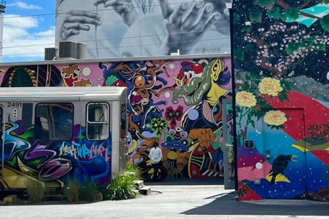 Miami: Street Art Immersion in Wynwood in French (10 people max)