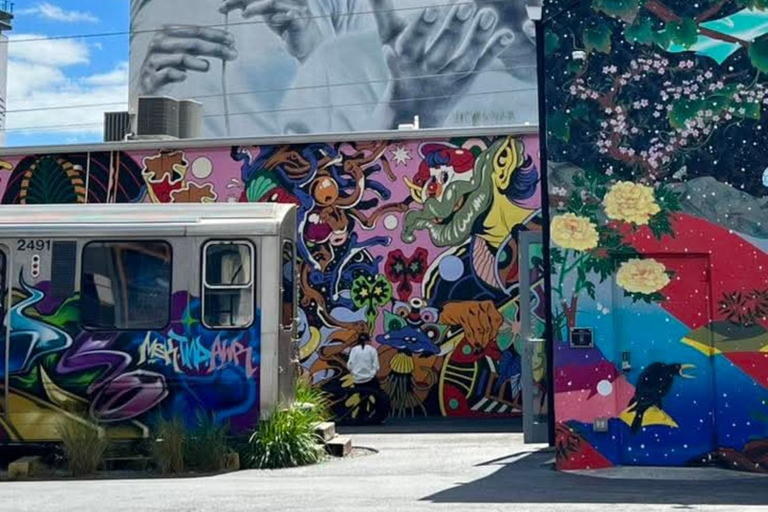 Miami: Street Art Immersion in Wynwood in French (10 people max)